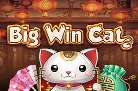 Big Win Cat