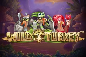 Wild Turkey